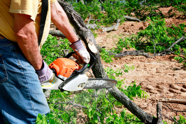 West Point, NY Tree Services Company